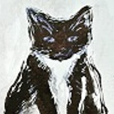 The Cat