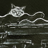 Cat On A Hot Tin Roof