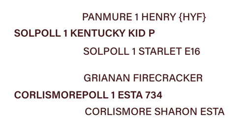lot 16.png