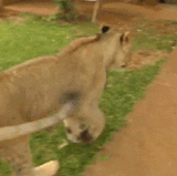 1667872094396928.gif