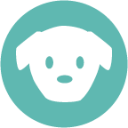favicon.png