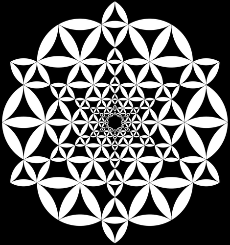 vitruvian flower.png
