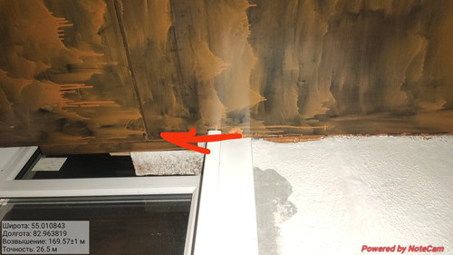 IMG 20221109 031811.jpg