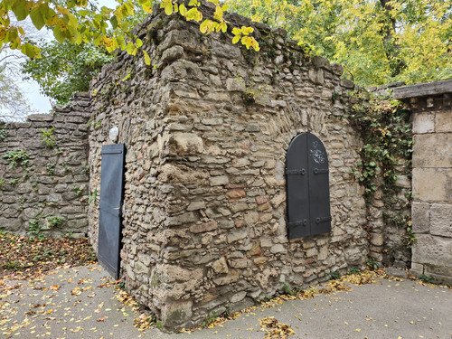 IMG20221029103651.jpg