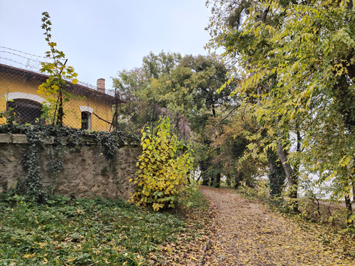 IMG20221029101459.jpg
