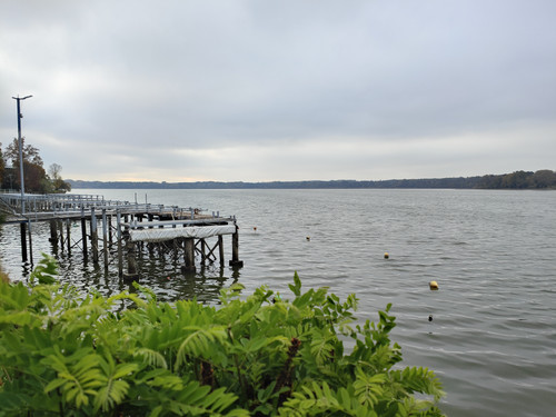 IMG20221029105118.jpg