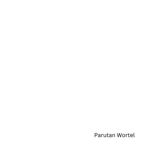 62.png