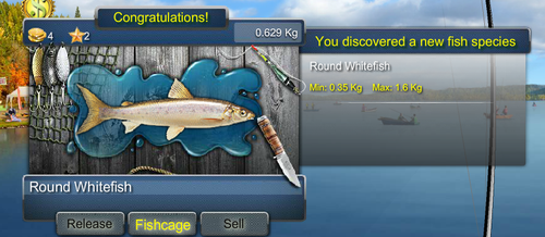 roundwhitefishmax