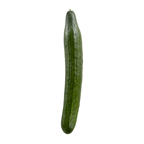 mypenis.png