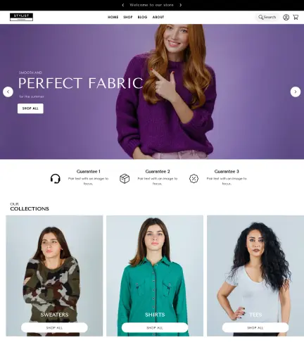 stylemakerthemedemostorestylemakertheme 14 (1).webp