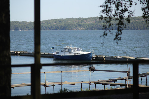 IMG 7317.jpg