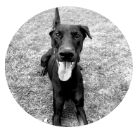 pupppynat.png