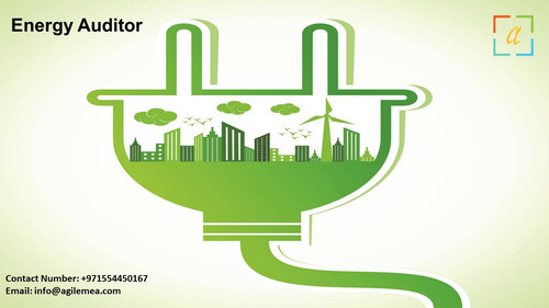 EnergyAuditor1.jpg