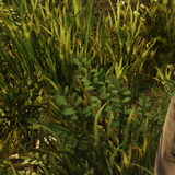 79d07d62a053.png