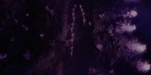 8ae73d59d633.png