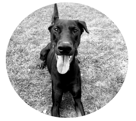 puppynat1.png