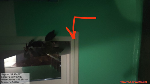 IMG 20221108 020815.jpg