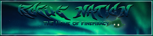Finns Banner