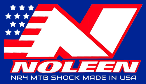 NOLEEN NR4 shock logo.png
