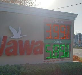 wawa.jpg