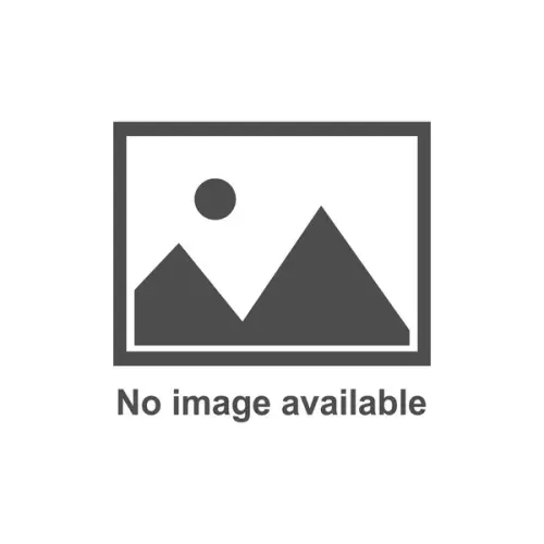 no image.webp