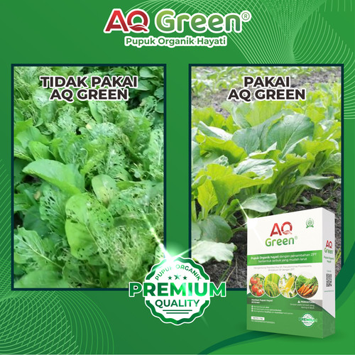 TERPERCAYA, Call WA 0811 7252 169 Jual pupuk organik eco farming untuk sawit di Lampung Timur.jpg