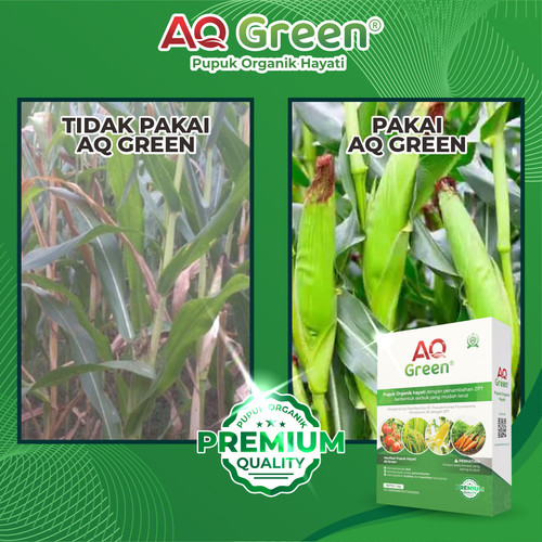 TERBUKTI, Call WA 0811 7252 169 Toko pupuk organik eceng gondok di Lampung Timur.jpg
