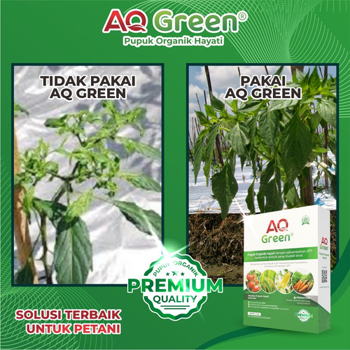 TERBUKTI AMAN, Call WA 0811 7252 169 Supplier pupuk organik eco farming di Lampung Timur.jpg