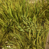 95cb85f574d2.png