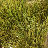 a9482eacb8c5.png
