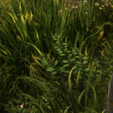 21f202b6df44.png