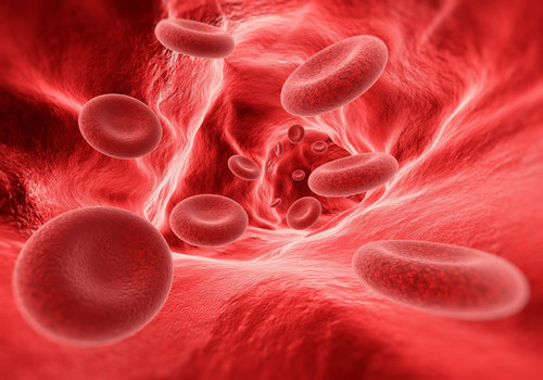 pqCB4V.md.jpg