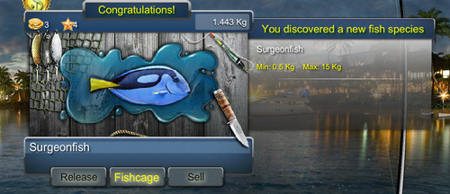 surgeonfishmax