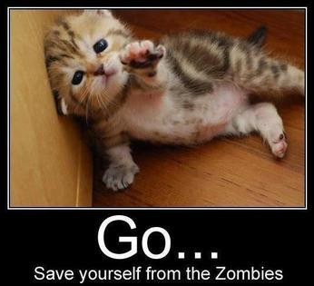 go save yourself from the zombies.jpg