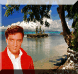 oie overlay (1).gif