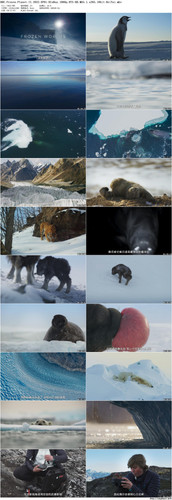BBC.Frozen.Planet.II.2022.EP01.BluRay.1080p.DTS HD.MA5.1.x265.10bit BeiTai preview.jpg