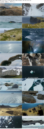 BBC.Frozen.Planet.II.2022.EP04.BluRay.1080p.DTS HD.MA5.1.x265.10bit BeiTai preview.jpg