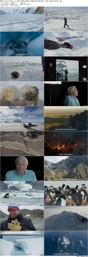 BBC.Frozen.Planet.II.2022.EP06.BluRay.1080p.DTS HD.MA5.1.x265.10bit BeiTai preview.jpg
