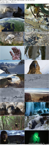 BBC.Frozen.Planet.II.2022.EP03.BluRay.1080p.DTS HD.MA5.1.x265.10bit BeiTai preview.jpg