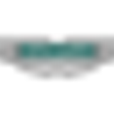 Αρχείο λήψης