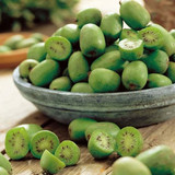 56272476d98a65c78a75de7ded4f7dd4.image.600x600