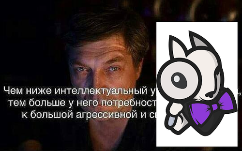 vk k9yzbrCcBRc.png