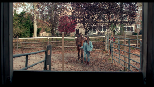 Joy.and.Hope.2020.BluRay.REMUX.1080p.AVC.DD2.0 HDS.mkv 20221109 181041.650.png