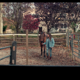 Joy.and.Hope.2020.BluRay.REMUX.1080p.AVC.DD2.0 HDS.mkv 20221109 181041.650