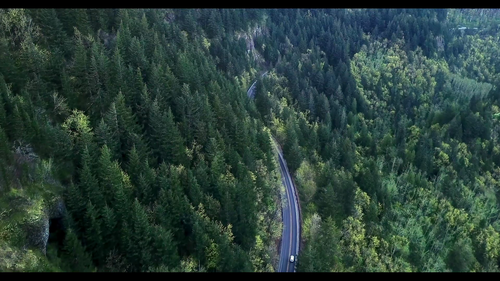 Joy.and.Hope.2020.BluRay.REMUX.1080p.AVC.DD2.0 HDS.mkv 20221109 181057.091.png