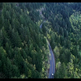 Joy.and.Hope.2020.BluRay.REMUX.1080p.AVC.DD2.0 HDS.mkv 20221109 181057.091