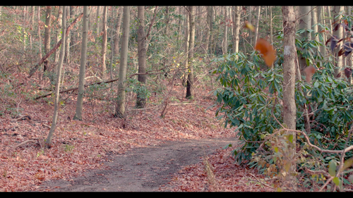 Joy.and.Hope.2020.BluRay.REMUX.1080p.AVC.DD2.0 HDS.mkv 20221109 181113.844.png