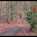 Joy.and.Hope.2020.BluRay.REMUX.1080p.AVC.DD2.0 HDS.mkv 20221109 181113.844