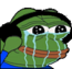 cryingpepe.png