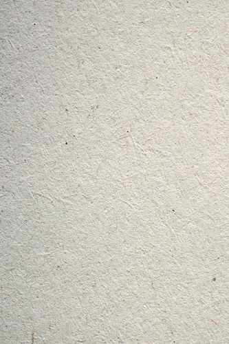 pexels eva bronzini 7598536.1